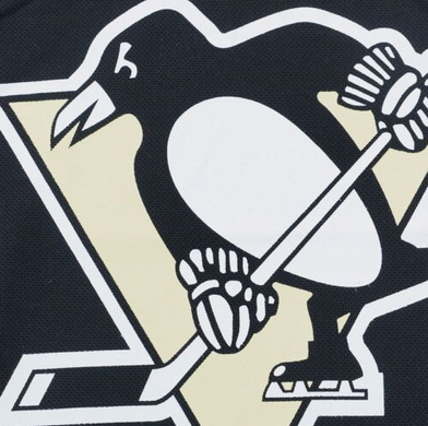 Хокейка Reebok Pittsburgh Penguins